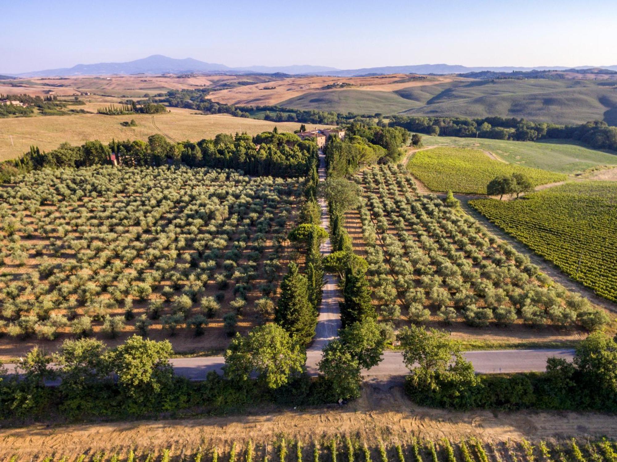 تريكواندا Agriturismo Pometti - Fattoria La Selva المظهر الخارجي الصورة