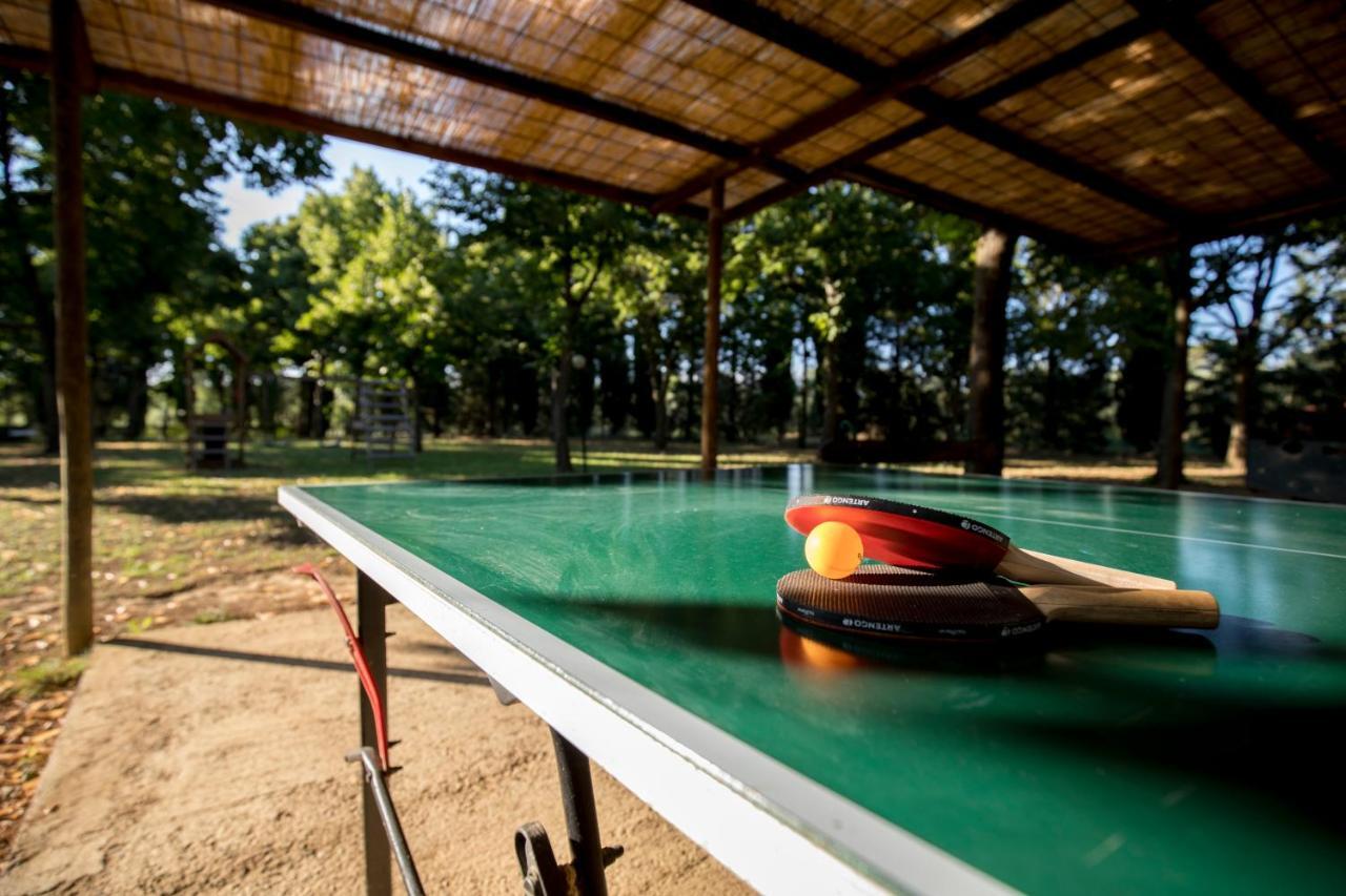 تريكواندا Agriturismo Pometti - Fattoria La Selva المظهر الخارجي الصورة