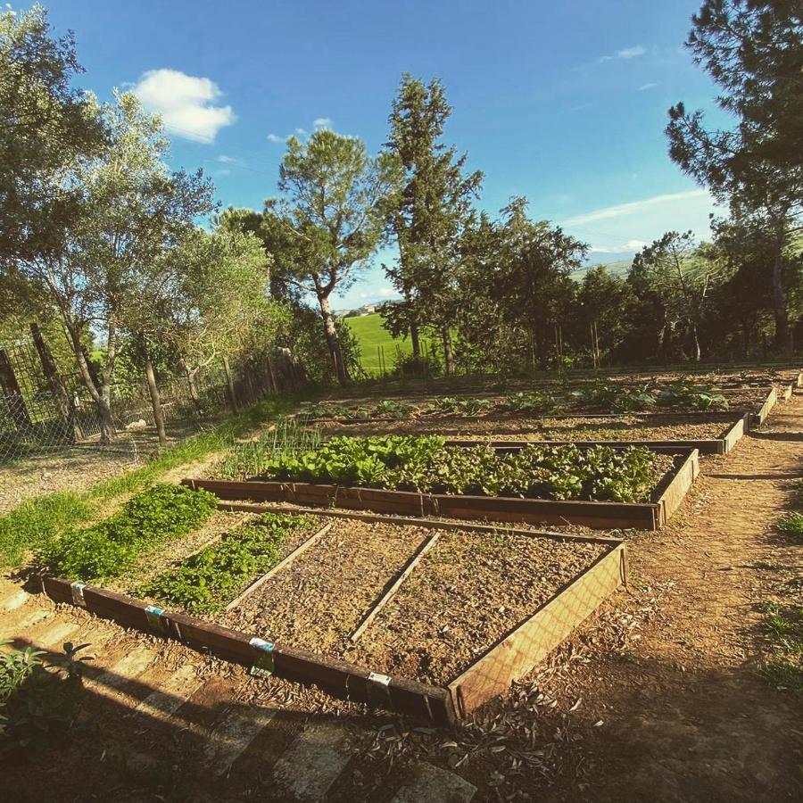 تريكواندا Agriturismo Pometti - Fattoria La Selva المظهر الخارجي الصورة