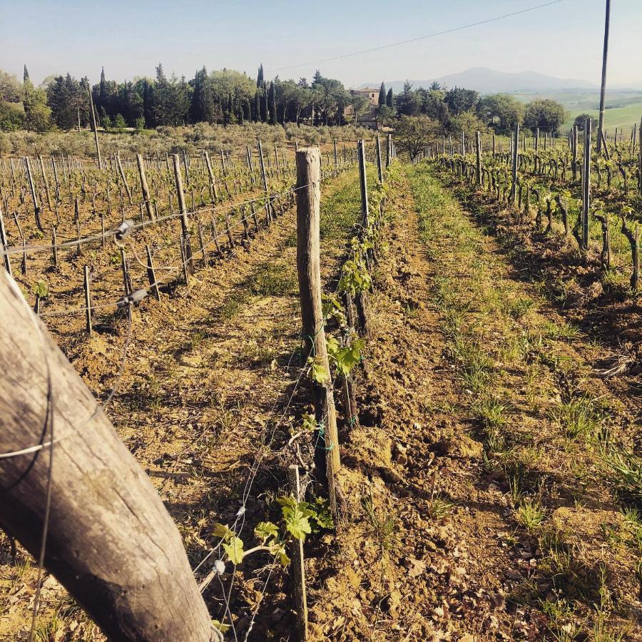 تريكواندا Agriturismo Pometti - Fattoria La Selva المظهر الخارجي الصورة